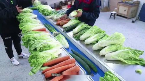 浙江皓源機(jī)械蔬菜包裝機(jī)視頻